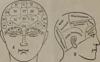 An illustration from Phrenological chart, presenting an outline of phrenology : the names and explanations of the different primitive faculties, an analysis of their relative degrees of developement, with the phrenological character and talents of [blank] as given by [blank]. (1841)