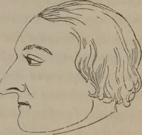 Picture 11 of 91 from Outlines of a new system of physiognomy : illustrated by numerous engravings indicating the location of the signs of the different mental faculties / by J.W. Redfield. (1849), leaf 14