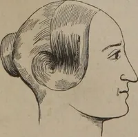 An illustration from Outlines of a new system of physiognomy : illustrated by numerous engravings indicating the location of the signs of the different mental faculties / by J.W. Redfield. (1849)