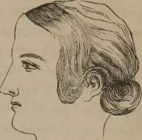 An illustration from Outlines of a new system of physiognomy : illustrated by numerous engravings indicating the location of the signs of the different mental faculties / by J.W. Redfield. (1849)
