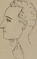 An illustration from Outlines of a new system of physiognomy : illustrated by numerous engravings indicating the location of the signs of the different mental faculties / by J.W. Redfield. (1849)