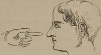 An illustration from Outlines of a new system of physiognomy : illustrated by numerous engravings indicating the location of the signs of the different mental faculties / by J.W. Redfield. (1849)