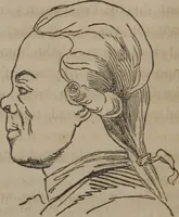 An illustration from The twelve qualities of mind, or, Outlines of a new system of physiognomy, no. II / by J.W. Redfield. (1850)