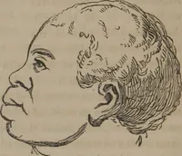 An illustration from The twelve qualities of mind, or, Outlines of a new system of physiognomy, no. II / by J.W. Redfield. (1850)