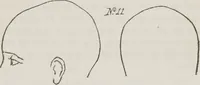 An illustration from Rationale of crime, and its appropriate treatment : being a treatise on criminal jurisprudence considered in relation to cerebral organization / by M.B. Sampson ; with notes and illustrations by E.W. Farnham. (1846)