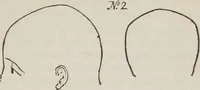 An illustration from Rationale of crime, and its appropriate treatment : being a treatise on criminal jurisprudence considered in relation to cerebral organization / by M.B. Sampson ; with notes and illustrations by E.W. Farnham. (1846)