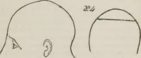 An illustration from Rationale of crime, and its appropriate treatment : being a treatise on criminal jurisprudence considered in relation to cerebral organization / by M.B. Sampson ; with notes and illustrations by E.W. Farnham. (1846)