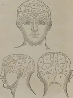 An illustration from A synopsis of practical phrenology. Compiled for the use of pupils. (1839)