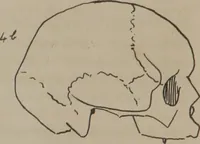 An illustration from Synopsis of phrenology : directed chiefly to the exhibition of the utility and application of the science to the advancement of social happiness / by Joshua Toulmin Smith. (1838)