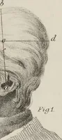 An illustration from Phrenology, in connexion with the study of physiognomy : illustration of characters / by J.G. Spurzheim. (1833)