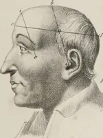 Picture 12 of 38 from Phrenology, in connexion with the study of physiognomy : illustration of characters / by J.G. Spurzheim. (1833), leaf 217