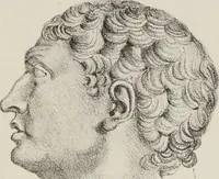 Picture 34 of 38 from Phrenology, in connexion with the study of physiognomy : illustration of characters / by J.G. Spurzheim. (1833), leaf 387