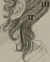 An illustration from Phrenology, or, The doctrine of the mental phenomena / by J.G. Spurzheim. (1846)