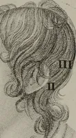 An illustration from Phrenology, or, The doctrine of the mental phenomena / by J.G. Spurzheim. (1846)
