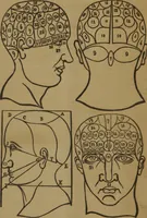 An illustration from Anthroponomy, or, Magneto-physiognomico-craniology : a new system on the magnetic constitution of man, as expressed by physiognomy blended with craniology and maintained by moral and physical hygiene, according to the rules of physiology, therapeutics, metaphysics, and present experience, improved from the systems of Messmer, Puységur, Gall, Lavater, Spurzheim, etc., and as established / by J.D.L. Zender. (1863)