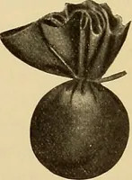 An illustration from Diagnostic methods, chemical, bacteriological and microscopical : a text-book for students and practitioners / by Ralph W. Webster ; with 37 colored plates and 164 other illustrations. (1909)