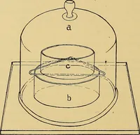 Picture 65 of 135 from Diagnostic methods, chemical, bacteriological and microscopical : a text-book for students and practitioners / by Ralph W. Webster ; with 37 colored plates and 164 other illustrations. (1909), leaf 268