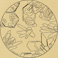 Picture 76 of 135 from Diagnostic methods, chemical, bacteriological and microscopical : a text-book for students and practitioners / by Ralph W. Webster ; with 37 colored plates and 164 other illustrations. (1909), leaf 384