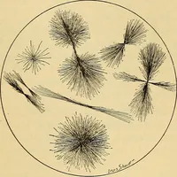 Picture 77 of 135 from Diagnostic methods, chemical, bacteriological and microscopical : a text-book for students and practitioners / by Ralph W. Webster ; with 37 colored plates and 164 other illustrations. (1909), leaf 385