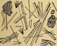 Picture 78 of 135 from Diagnostic methods, chemical, bacteriological and microscopical : a text-book for students and practitioners / by Ralph W. Webster ; with 37 colored plates and 164 other illustrations. (1909), leaf 385