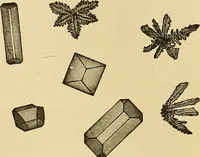 An illustration from Diagnostic methods, chemical, bacteriological and microscopical : a text-book for students and practitioners / by Ralph W. Webster ; with 37 colored plates and 164 other illustrations. (1909)