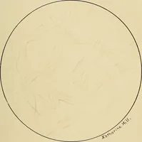 Picture 91 of 135 from Diagnostic methods, chemical, bacteriological and microscopical : a text-book for students and practitioners / by Ralph W. Webster ; with 37 colored plates and 164 other illustrations. (1909), leaf 407