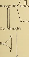Picture 104 of 135 from Diagnostic methods, chemical, bacteriological and microscopical : a text-book for students and practitioners / by Ralph W. Webster ; with 37 colored plates and 164 other illustrations. (1909), leaf 469