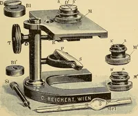Picture 105 of 135 from Diagnostic methods, chemical, bacteriological and microscopical : a text-book for students and practitioners / by Ralph W. Webster ; with 37 colored plates and 164 other illustrations. (1909), leaf 473