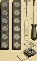 An illustration from Diagnostic methods, chemical, bacteriological and microscopical : a text-book for students and practitioners / by Ralph W. Webster ; with 37 colored plates and 164 other illustrations. (1909)