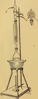 An illustration from Diagnostic methods, chemical, bacteriological and microscopical : a text-book for students and practitioners / by Ralph W. Webster ; with 37 colored plates and 164 other illustrations. (1909)