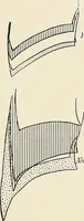 An illustration from Surgery of the lung / by C. Garrè and H. Quincke. (1913)