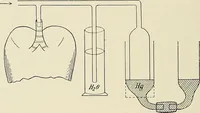 Picture 28 of 72 from Surgery of the lung / by C. Garrè and H. Quincke. (1913), leaf 64