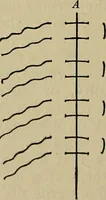 An illustration from Modern surgery, general and operative / by John Chalmers DaCosta. (1914)