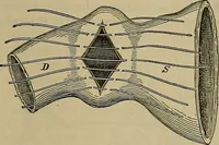 An illustration from Modern surgery, general and operative / by John Chalmers DaCosta. (1914)