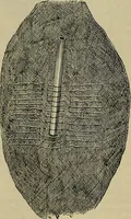 An illustration from Modern surgery, general and operative / by John Chalmers DaCosta. (1914)