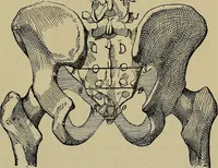 An illustration from Modern surgery, general and operative / by John Chalmers DaCosta. (1914)