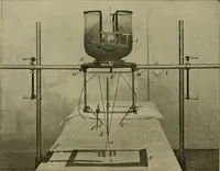 An illustration from Modern surgery, general and operative / by John Chalmers DaCosta. (1914)