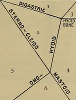 An illustration from Modern surgery, general and operative / by John Chalmers DaCosta. (1914)