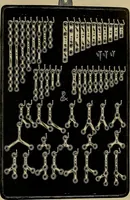 An illustration from Modern surgery, general and operative / by John Chalmers DaCosta. (1914)