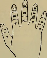 An illustration from Modern surgery, general and operative / by John Chalmers DaCosta. (1914)
