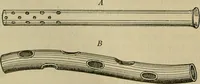 An illustration from Modern surgery, general and operative / by John Chalmers DaCosta. (1914)