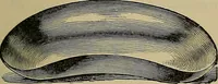 An illustration from Modern surgery, general and operative / by John Chalmers DaCosta. (1914)
