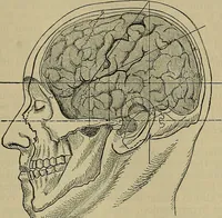 An illustration from Modern surgery, general and operative / by John Chalmers DaCosta. (1914)