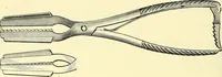 Picture 376 of 481 from Modern surgery, general and operative / by John Chalmers Da Costa. (1907), leaf 1042