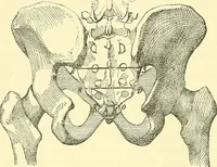 Picture 379 of 481 from Modern surgery, general and operative / by John Chalmers Da Costa. (1907), leaf 1050