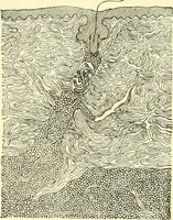 Picture 390 of 481 from Modern surgery, general and operative / by John Chalmers Da Costa. (1907), leaf 1084