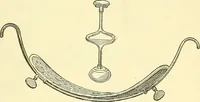 Picture 475 of 481 from Modern surgery, general and operative / by John Chalmers Da Costa. (1907), leaf 1249