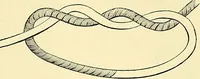 An illustration from Modern surgery, general and operative / by John Chalmers Da Costa. (1907)