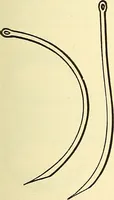 An illustration from Modern surgery, general and operative / by John Chalmers Da Costa. (1907)