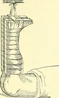 Picture 173 of 481 from Modern surgery, general and operative / by John Chalmers Da Costa. (1907), leaf 544